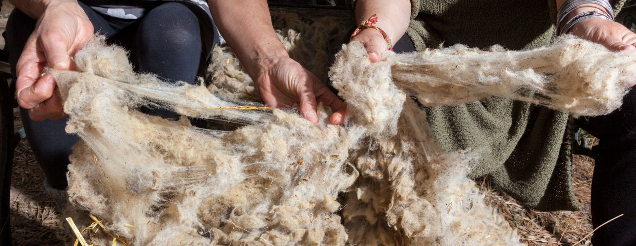 Manaslu Wool clothing collection home page